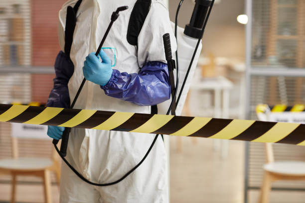 Professional Sewage Cleanup technician working in Neola, UT