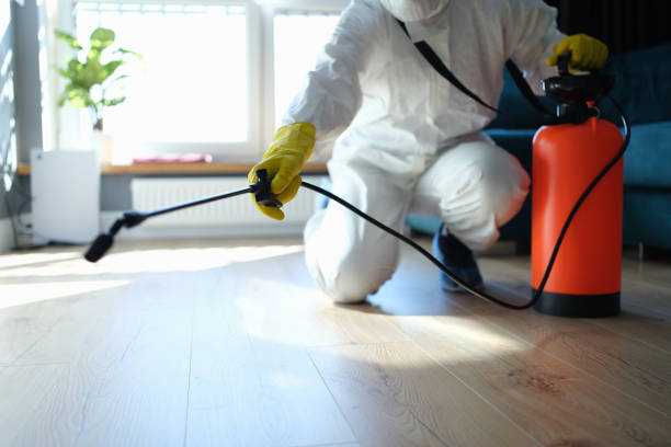 Reliable Sewage Cleanup contractor in Neola, UT by Trauma Clean Pros